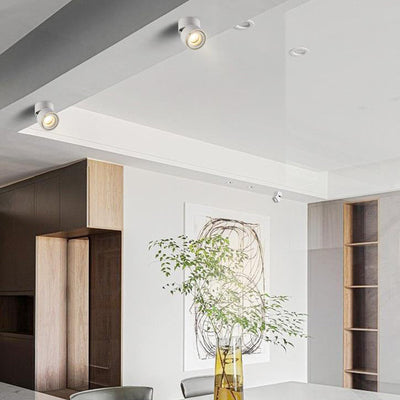 Modern Minimalist Cylinder Adjustable Angle Aluminum LED Flush Mount Ceiling Light For Living Room
