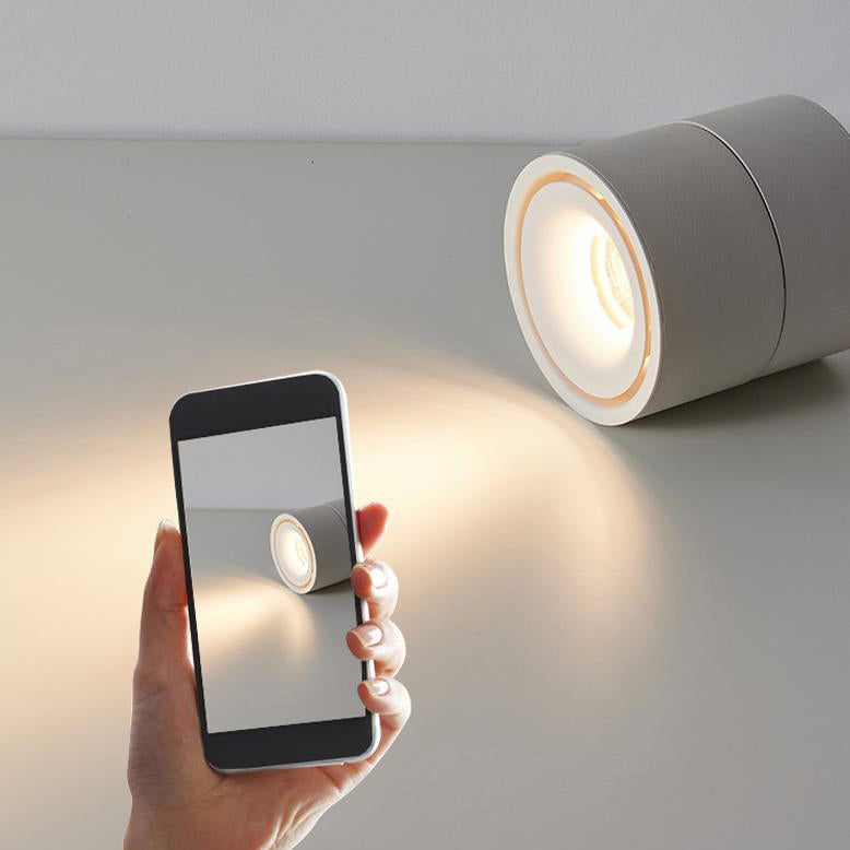 Modern Minimalist Cylinder Adjustable Angle Aluminum LED Flush Mount Ceiling Light For Living Room