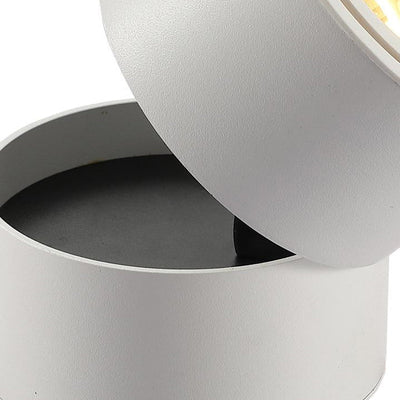Modern Minimalist Cylinder Adjustable Angle Aluminum LED Flush Mount Ceiling Light For Living Room