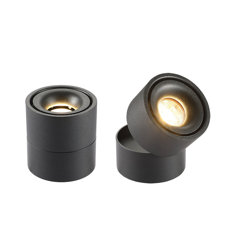 Modern Minimalist Cylinder Adjustable Angle Aluminum LED Flush Mount Ceiling Light For Living Room