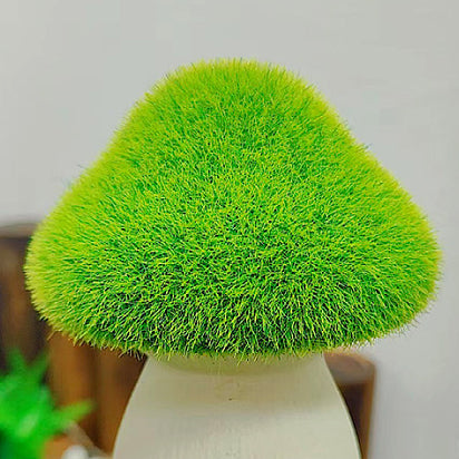 Lumière de paysage extérieure LED à fiche de sol en résine champignon solaire étanche créative contemporaine pour jardin 