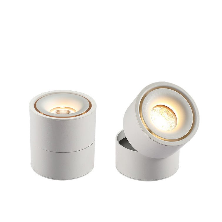 Modern Minimalist Cylinder Adjustable Angle Aluminum LED Flush Mount Ceiling Light For Living Room