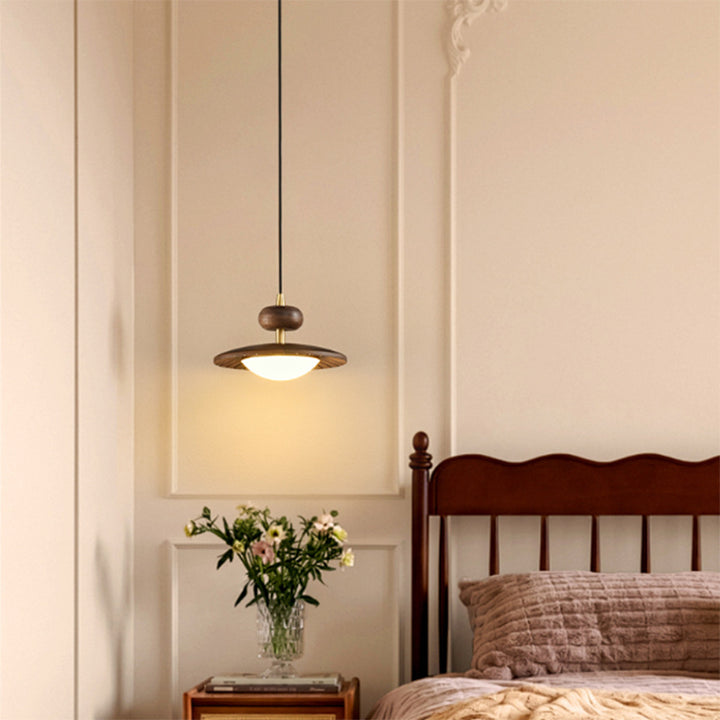 Traditional Vintage Round Disc Oval Iron Hardware Acrylic LED Pendant Light For Bedroom