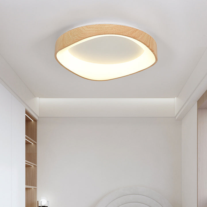 Plafonnier LED rond irrégulier en fer acrylique de simplicité moderne pour chambre 