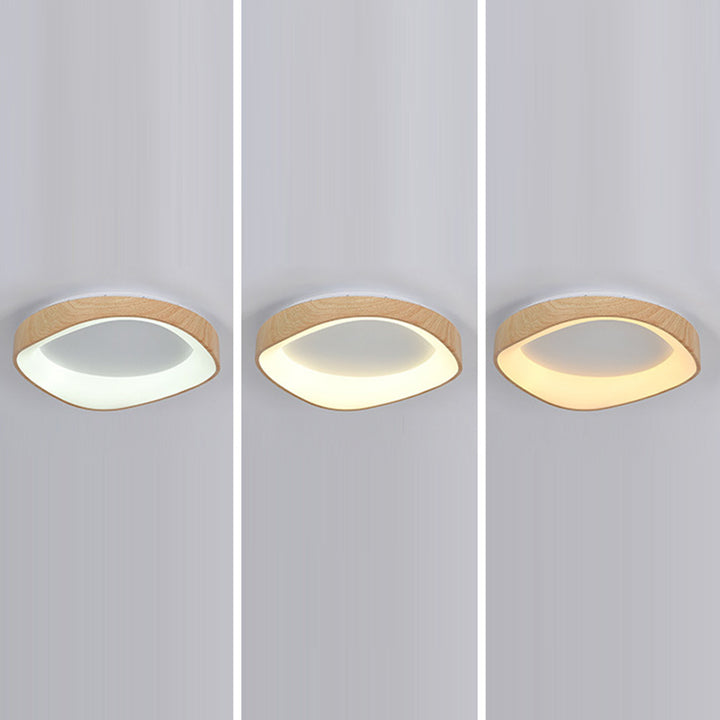 Plafonnier LED rond irrégulier en fer acrylique de simplicité moderne pour chambre 
