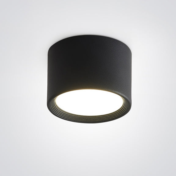 Modern Minimalist Cylinder Aluminum Acrylic LED Flush Mount Ceiling Light For Hallways