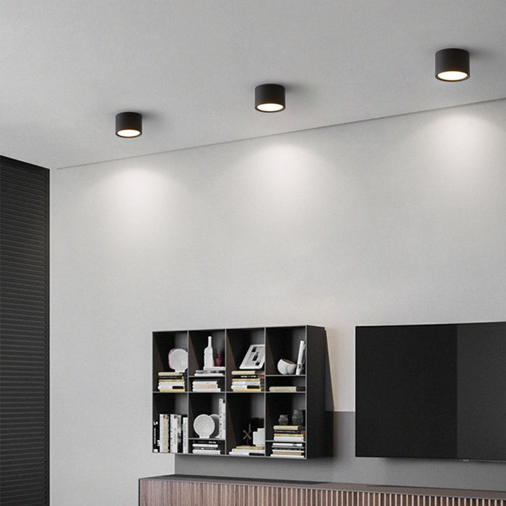 Modern Minimalist Cylinder Aluminum Acrylic LED Flush Mount Ceiling Light For Hallways