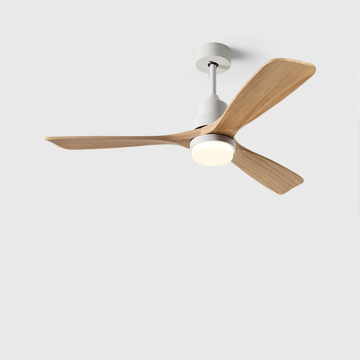 Ventilateur de plafond à trois pales nordiques contemporaines en acier au carbone et bois massif avec LED pour salon 