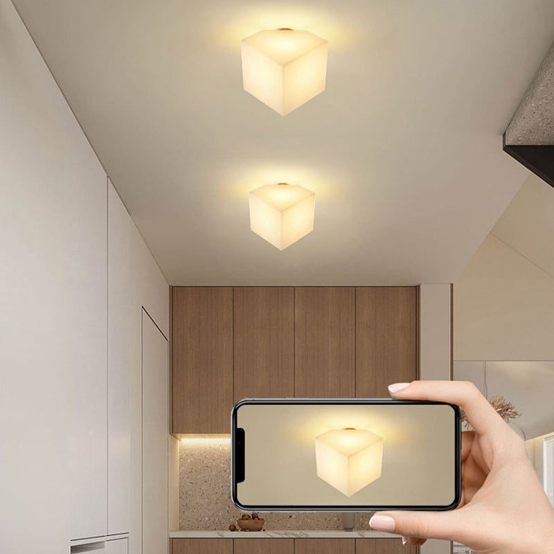 Modern Simplicity Dome Polygonal Roto-molding Hardware PVC 1 - Light Semi-Flush Mount Ceiling Light For Hallways