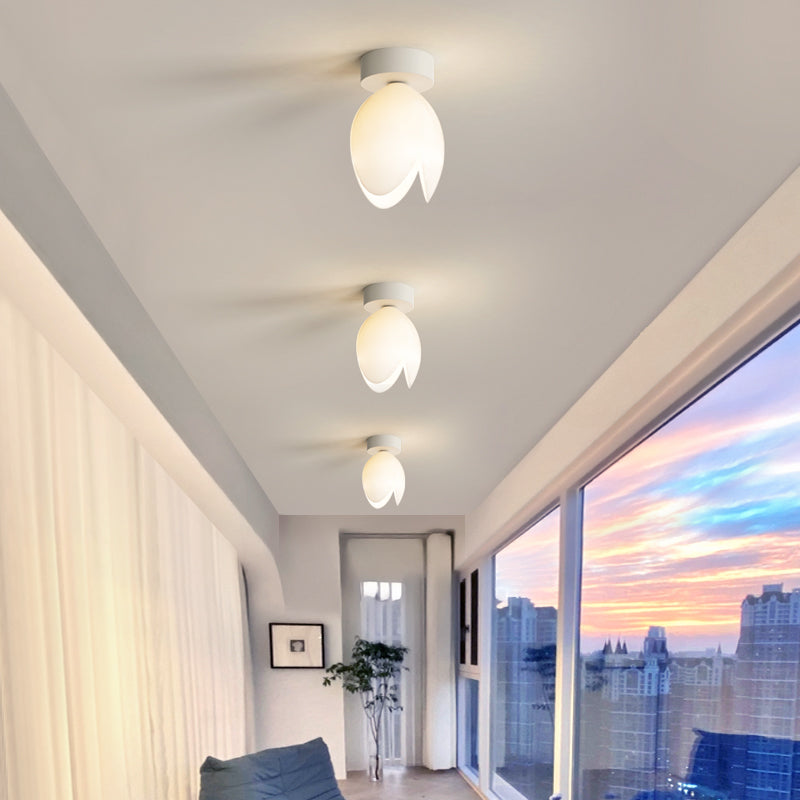 Zeitgenössische skandinavische Kuppel-Glaslampenschirm Eisen 1 - Licht Semi-Flush Mount Deckenleuchte für Flure 