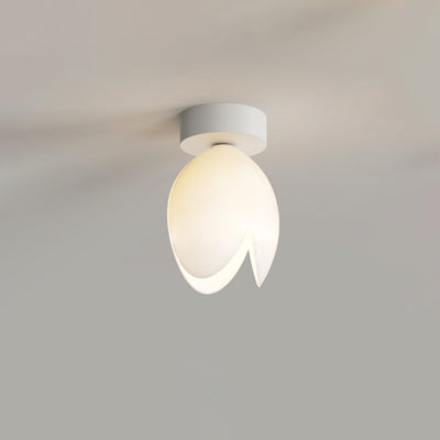 Zeitgenössische skandinavische Kuppel-Glaslampenschirm Eisen 1 - Licht Semi-Flush Mount Deckenleuchte für Flure 