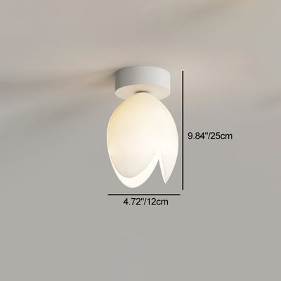 Zeitgenössische skandinavische Kuppel-Glaslampenschirm Eisen 1 - Licht Semi-Flush Mount Deckenleuchte für Flure 