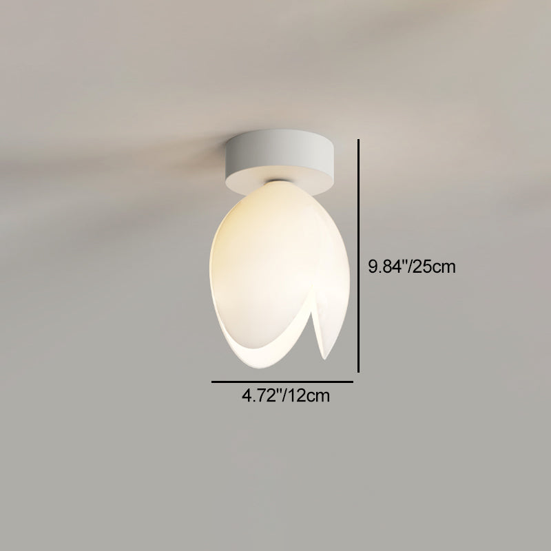 Zeitgenössische skandinavische Kuppel-Glaslampenschirm Eisen 1 - Licht Semi-Flush Mount Deckenleuchte für Flure 
