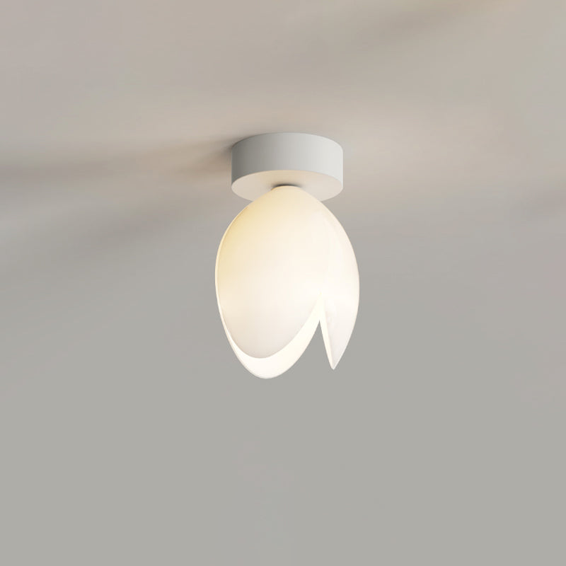 Zeitgenössische skandinavische Kuppel-Glaslampenschirm Eisen 1 - Licht Semi-Flush Mount Deckenleuchte für Flure 