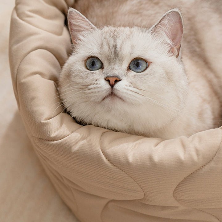 Modernes kreatives rundes Haustierbett aus Polyester-Plüsch für Hunde &amp; Katzen, faltbar, waschbar, für alle Jahreszeiten, fürs Wohnzimmer 