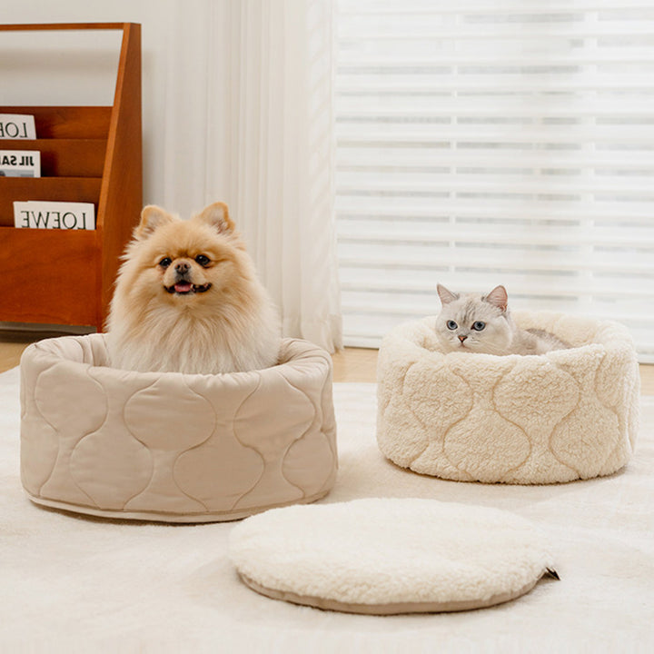 Modernes kreatives rundes Haustierbett aus Polyester-Plüsch für Hunde &amp; Katzen, faltbar, waschbar, für alle Jahreszeiten, fürs Wohnzimmer 