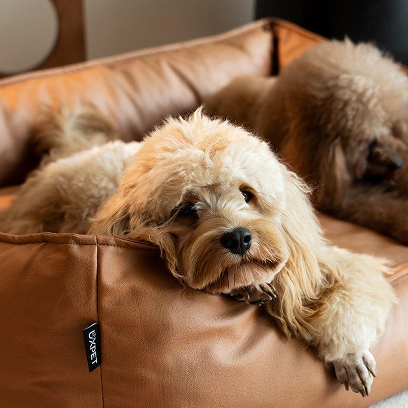 Modern Minimalist Synthetic Fabric Sponge Rectangular Pet Bed Dog Bed With Waterproof &amp; Removable Cover For Living Room