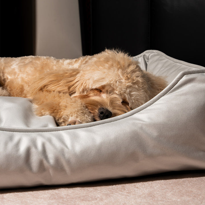Modern Minimalist Synthetic Fabric Sponge Rectangular Pet Bed Dog Bed With Waterproof &amp; Removable Cover For Living Room