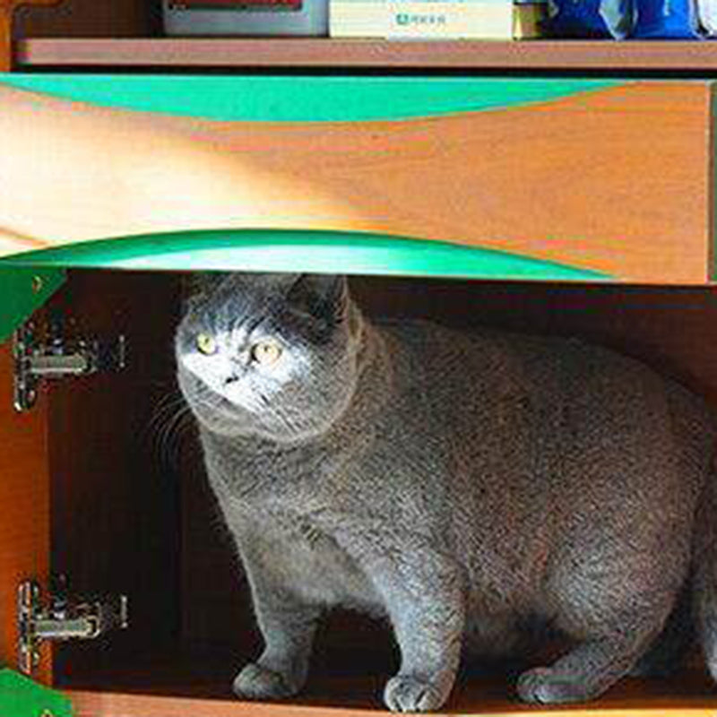 Contemporary Retro Wooden Cat Cabinet - Multifunctional Pet Furniture With Storage Drawer &amp; Cat House For Living Room