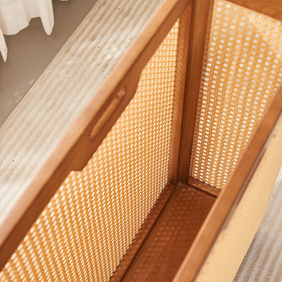 Contemporary Boho Rectangular Solid Wood Plastic Rattan Weaving Movable Storage Cabinet 1-Storage For Living Room