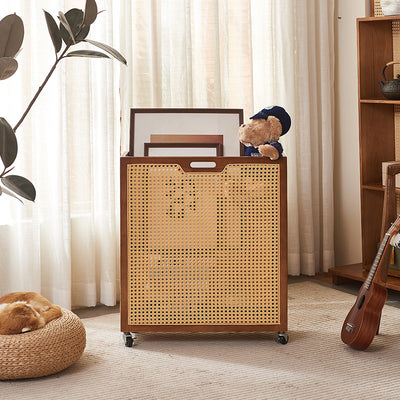 Contemporary Boho Rectangular Solid Wood Plastic Rattan Weaving Movable Storage Cabinet 1-Storage For Living Room