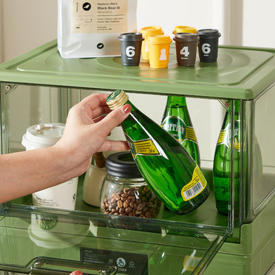 Modern Minimalist Rectangular PE PET Storage Cabinet 1-Storage For Kitchen & Dining Room