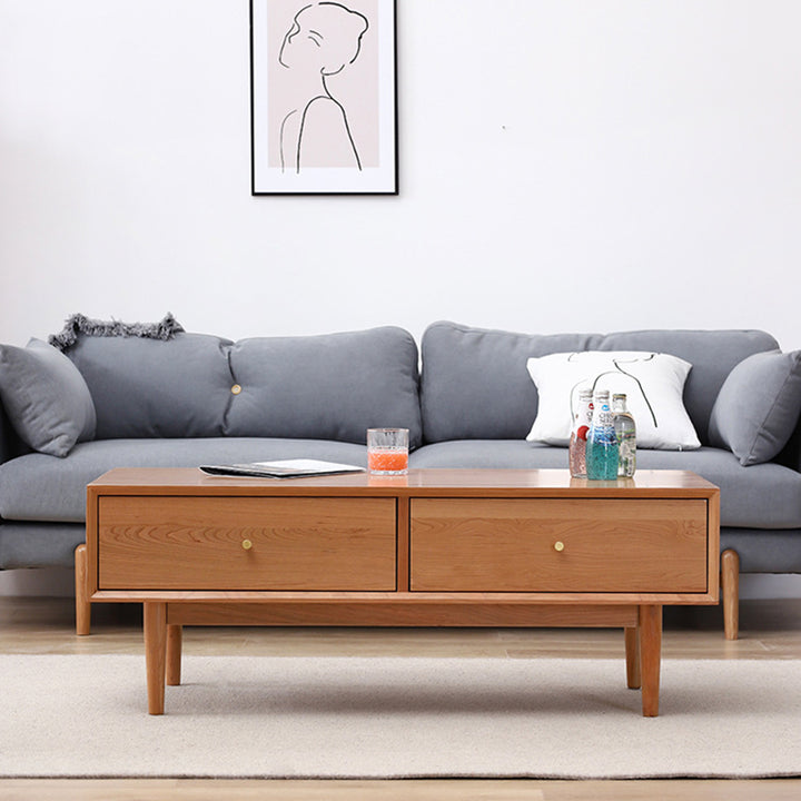 Table basse rectangulaire en bois massif au style minimaliste moderne avec 2 tiroirs pour salon 