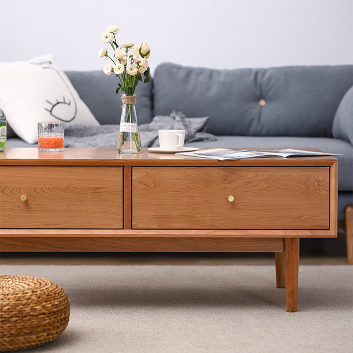 Table basse rectangulaire en bois massif au style minimaliste moderne avec 2 tiroirs pour salon 