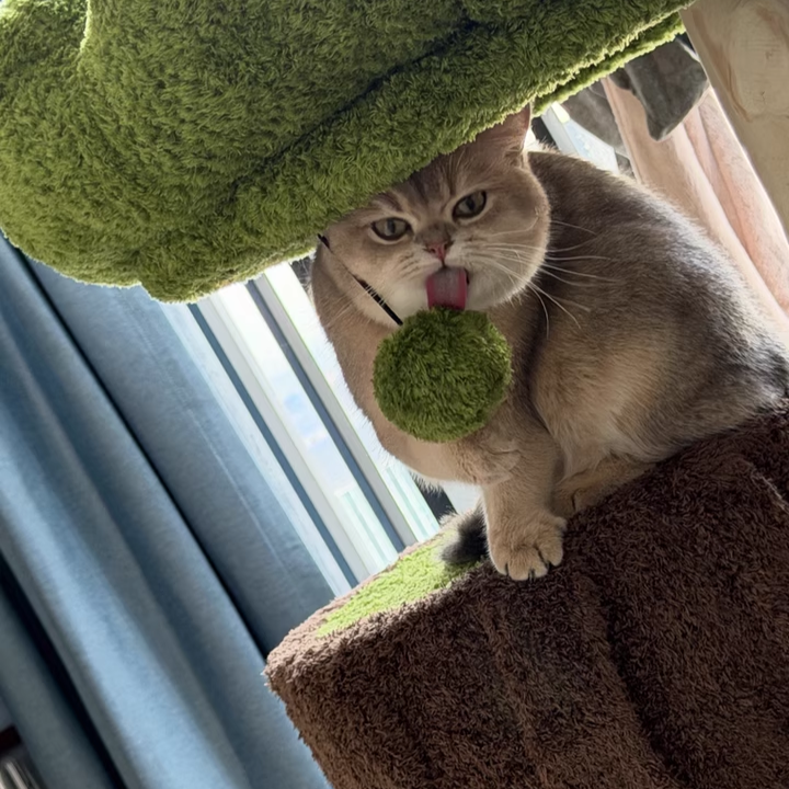 Arbre à chat contemporain créatif à 2 condos et 2 perchoirs en panneaux de particules ronds, bois fruitier naturel, tissu velours et sisal pour salon 