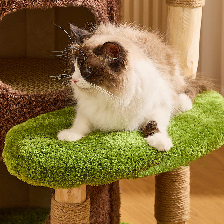 Arbre à chat contemporain créatif à 2 condos et 2 perchoirs en panneaux de particules ronds, bois fruitier naturel, tissu velours et sisal pour salon 