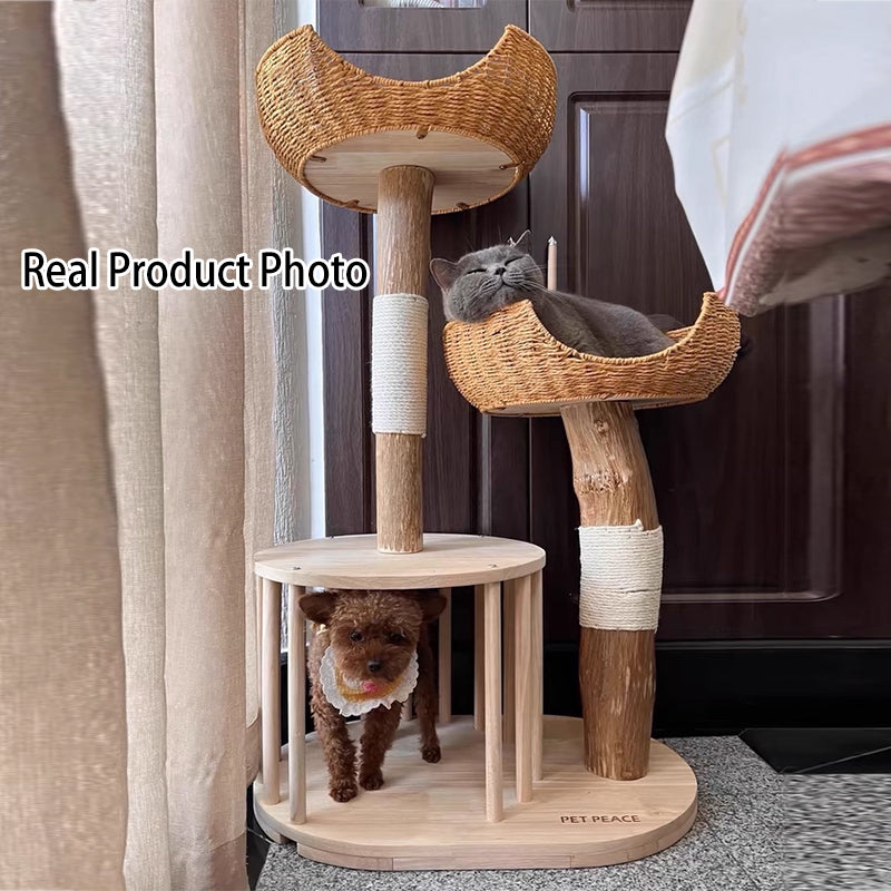 Traditioneller japanischer Rund-Kautschukholz-Naturobstholz-Sisal 1-Katzenwohnung 2-Sitzstangen-Kratzbaum für das Schlafzimmer 