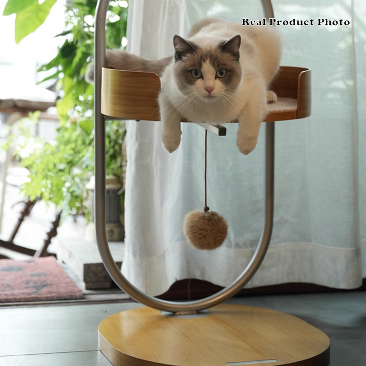 Contemporary Creative Round Pine Wood Medium-Density Fiberboard Iron 1-Perch Multi-Functional Cat Tree For Living Room