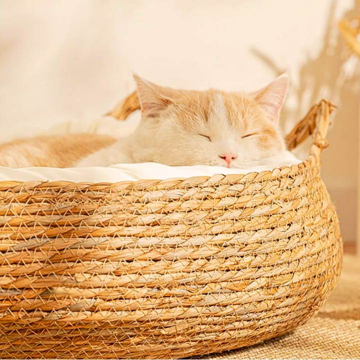 Traditional Farmhouse Round Reed Cotton Rope Cat Bed For Bedroom