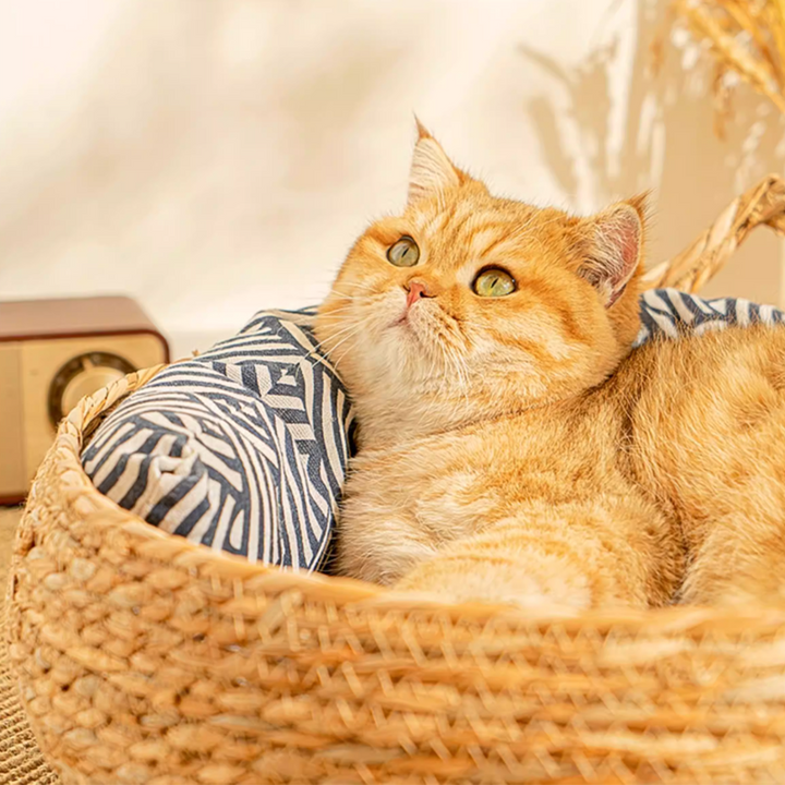 Traditional Farmhouse Round Reed Cotton Rope Cat Bed For Bedroom