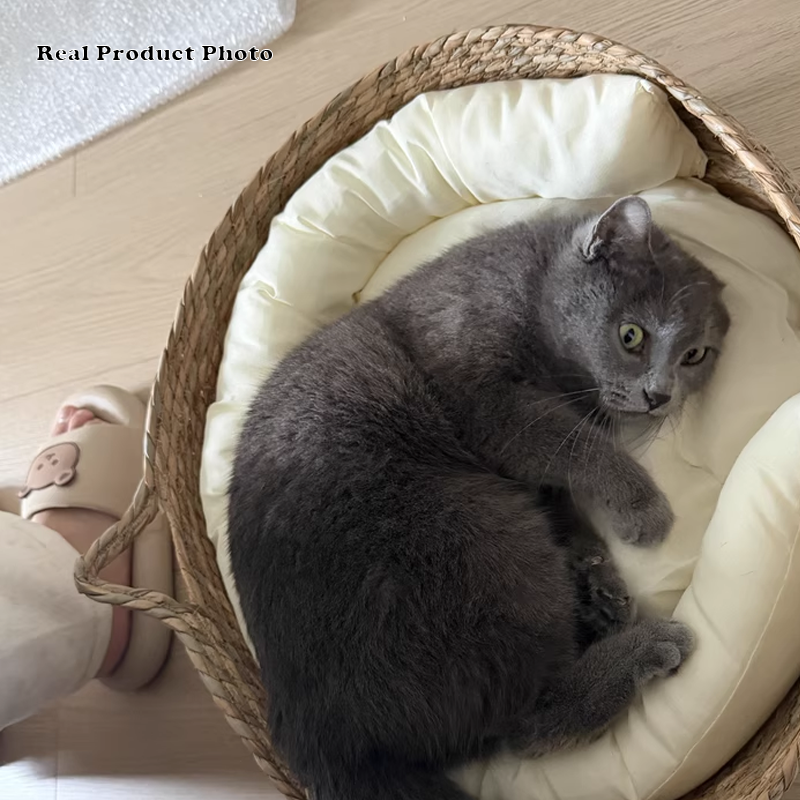 Traditional Farmhouse Round Reed Cotton Rope Cat Bed For Bedroom