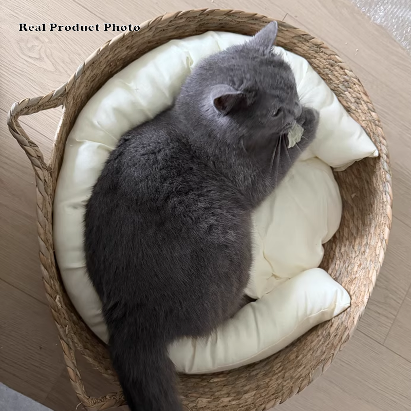 Traditional Farmhouse Round Reed Cotton Rope Cat Bed For Bedroom