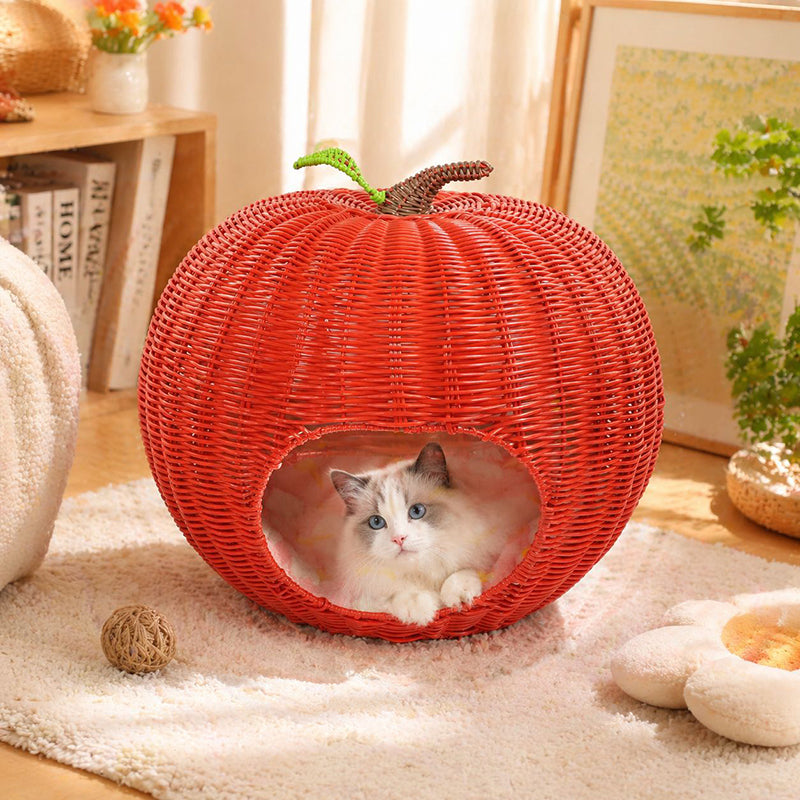 Contemporary Creative Round PE Rattan Carbon Steel Frame Apple-Shaped Semi-Enclosed Cat Bed For Bedroom