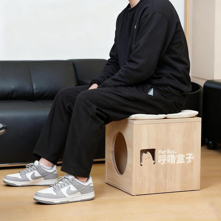 2-in-1 Space Saving Cat Bed Ottoman: Contemporary Shoe Stool With Cozy Cat Hideaway - Multifunctional Cat Furniture For Entryway