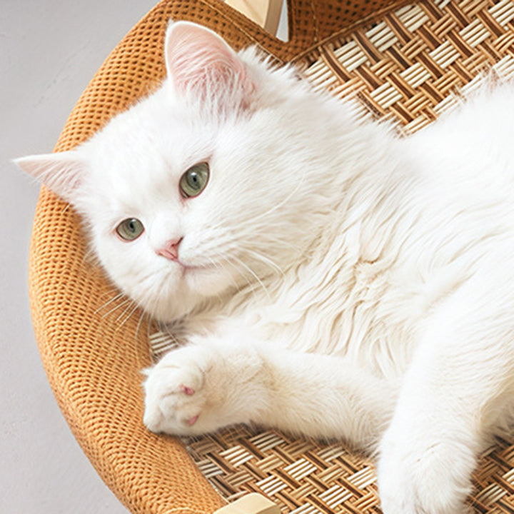 Zeitgenössisches Boho Rundes Rattanmatte Massivholz Mehrschichtplatte Stoff Mitteldichte Faserplatte Katzenbett Für Schlafzimmer 