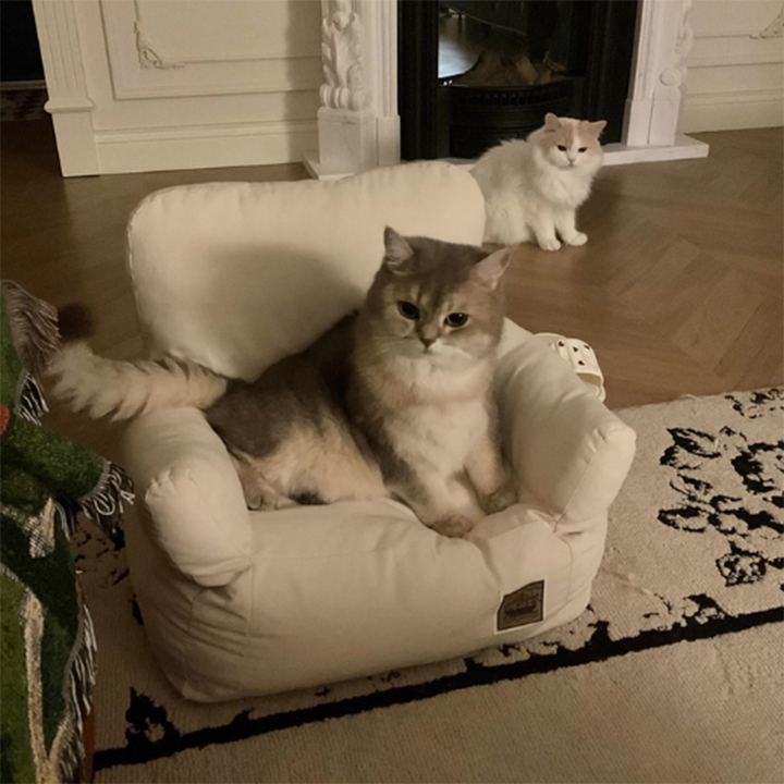 Cama rectangular minimalista moderna para gato de tela con algodón PP, sillón decorativo para mascotas con respaldo y reposabrazos para sala de estar 