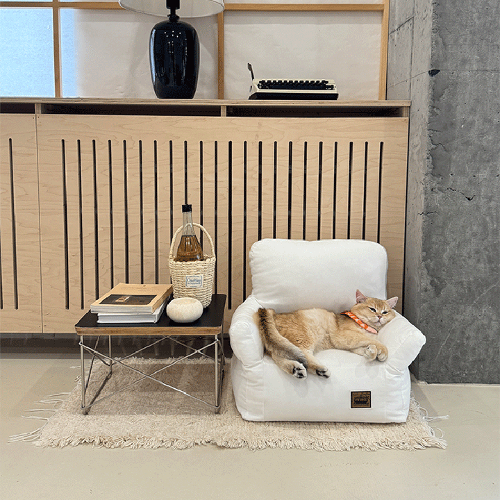 Cama rectangular minimalista moderna para gato de tela con algodón PP, sillón decorativo para mascotas con respaldo y reposabrazos para sala de estar 