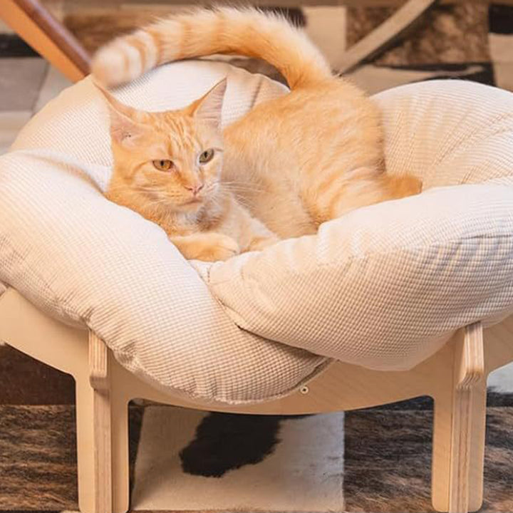 Modern Minimalist Floral-Shaped Curved Multi-Layer Plywood Velvet Cat Bed 4-Leg For Bedroom