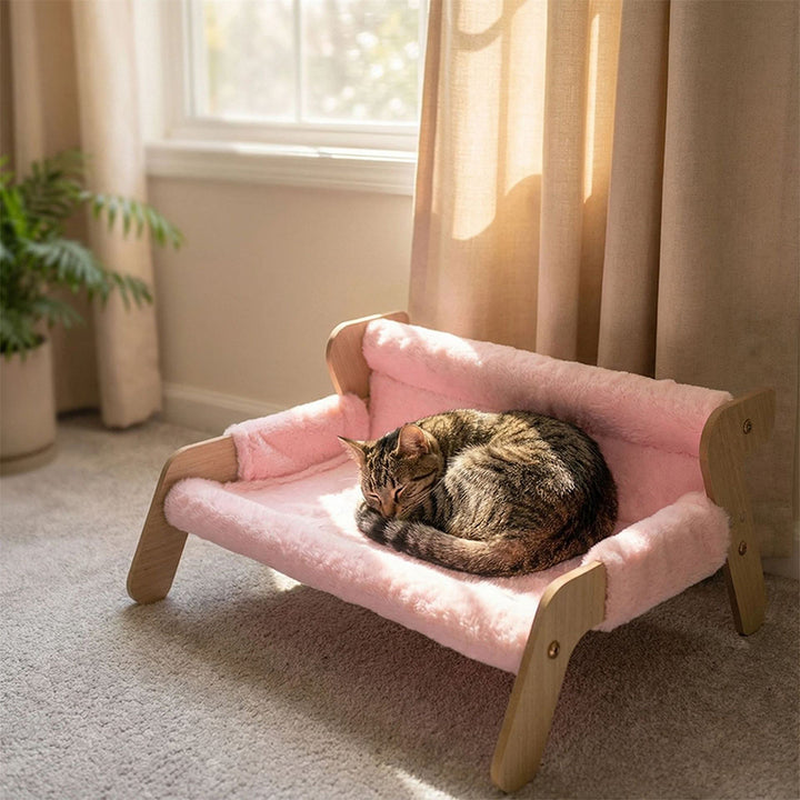 Lit pour chat rectangulaire minimaliste moderne en panneau de fibres à haute densité avec velours, dossier et accoudoirs pour chambre à coucher 