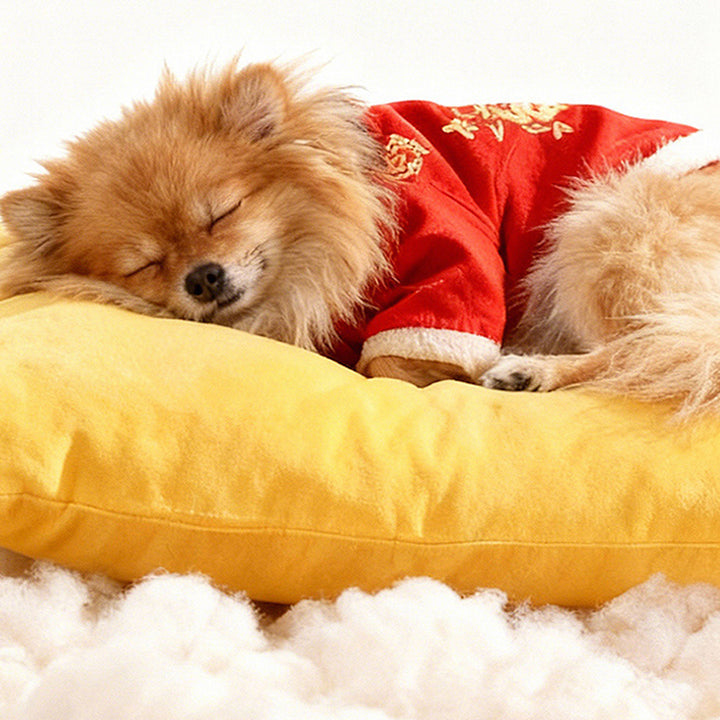 Cama para perro y gato contemporánea y creativa rectangular de tela de felpa ultra suave de terciopelo de cristal con tejido antideslizante con puntos y asa para dormitorio 