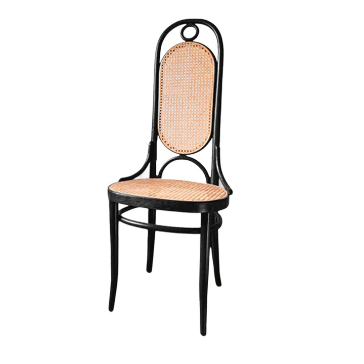 Modern Minimalist Oval Faux Rattan Metal Dining Chair Backrest For Dining Room