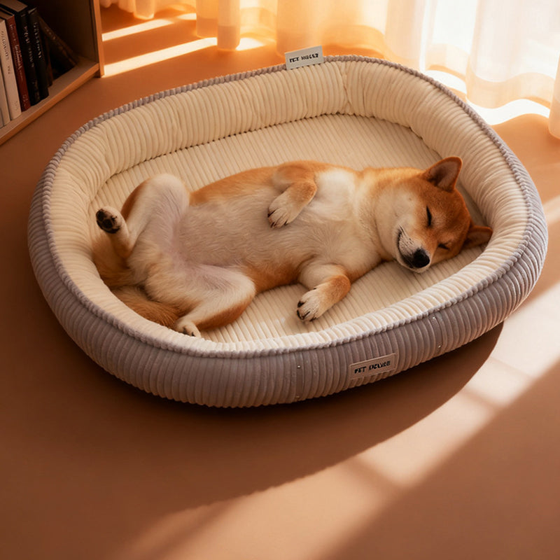 Modern Minimalist Oval Velvet PP Cotton Cat Bed For Living Room