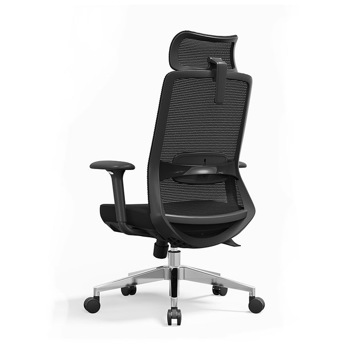 Premium Ergonomic High-Back Executive Desk Chair - Minimalist High-Back Chair With Adjustable Features &amp; BIFMA Certified Casters For Home Office