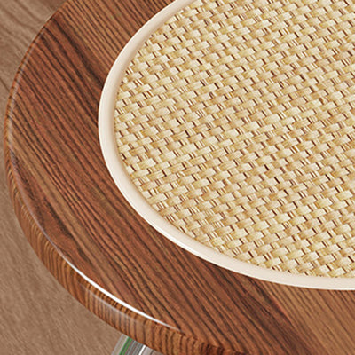 Modern Minimalist Round Foldable Medium Density Fiberboard Rattan Steel Dining Chair Backrest Armless For Dining Room