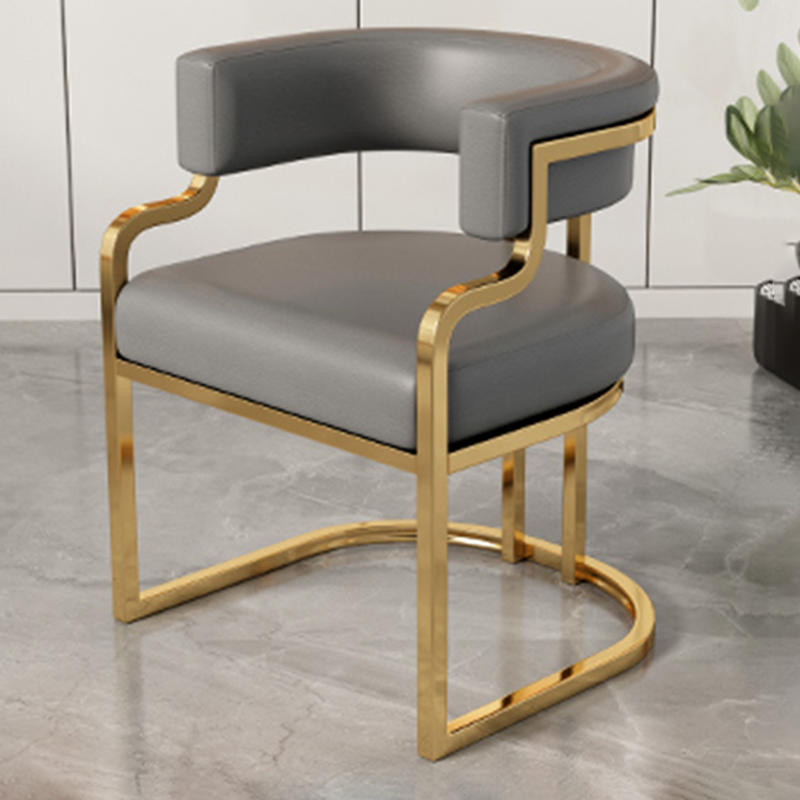 Modern Minimalist Curved Cat Claw Leather Steel Dining Chair Backrest Armless For Dining Room