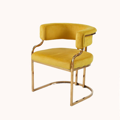 Modern Minimalist Curved Cat Claw Leather Steel Dining Chair Backrest Armless For Dining Room